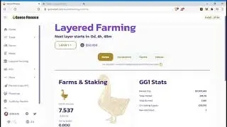 Goosedefi Over 40 LTC (8000k) IN ONE MONTH BSC