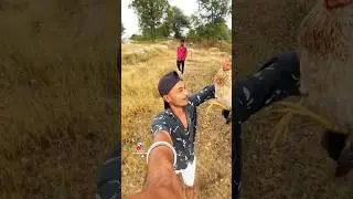 Kodi Raja&hellip;! #01vlogs #ranjithreddee #comedy #chicken #shorts #funny
