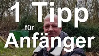 Ein Tipp f&uuml;r Anf&auml;nger Imker! Fangt einfach an - Bienen - Engfer speakt? ;)