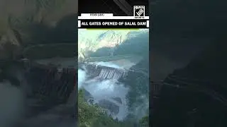 All gates opened of Salal Dam as water level rises in Chenab river
