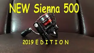 NEW EDITION ! Shimano Sienna 500 - 2019 (Unboxing & Review)