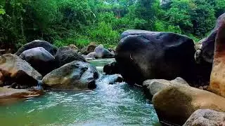 Deep Sleep River Sounds Flowing Gently Past Smooth Sand and Rounded Rocks