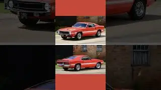 1969 Shelby Mustang GT500