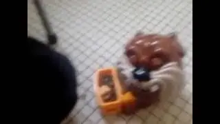 O Mauzao e o Felix!!!
