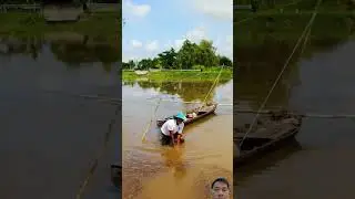 Đẩy C&ocirc;n, nơm C&aacute; L&oacute;c Đồng/Push the net, trap the snakehead fish.