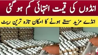EGGs latest price today/Eggs Price goes Down/Eggs latest price