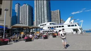 Toronto Harbour Waterfront Saturday Walking vlog 4K