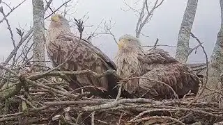 Waakzaam