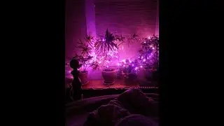 솔로지옥5 5화 리뷰 - [남자asmr/일기]
