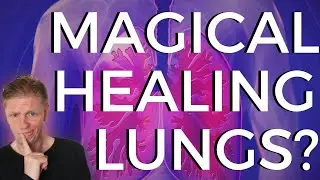 How Our Lungs Self Heal After Quitting Smoking