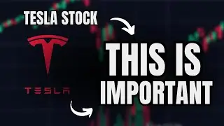 MASSIVE News for Tesla Stock.. (Demand Surging, New Positions + Small Cap Short Squeeze)
