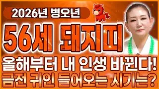 71년생 돼지띠라면 필수시청!✨2026년 1971년생 56세 돼지띠운세✨이번 달부터 내 인생 달라진다! 금전과 귀인 들어오는 시기 알려드릴게요! 병오년 71년생 돼지띠 신년운세