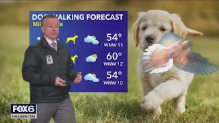 Bird photobombs Rob Haswell | FOX6 News Milwaukee