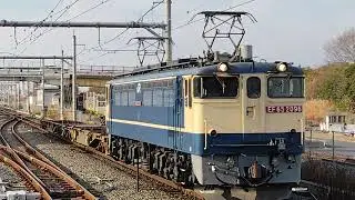 冬のPF代走！新A6107仕業・配8592レ　EF65-2096＋コキ2両　吉川美南通過　2025.12.23.14:26