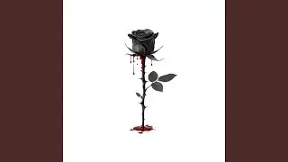Pretty Violence
