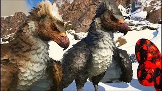 A Hist&oacute;ria Do Beb&ecirc; Aguia Encontrei Uma Esposa Perfeita Para Casar! Ark Dino Evolved (PT/BR)