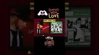Sample Sunday Ep.120 | When Soul Meets Hip Hop | Common &ldquo;The Light&rdquo; Uncovered | J Dilla Sample