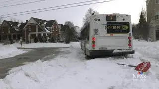 Residents in Kitchener, Ont. react to massive winter storm