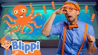 Blippi Visits The Sensory Aquarium 🐠 Blippi Learns Senses with Fish | Blippi Full Episodes
