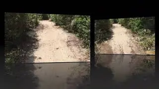 Oceanside Lawn and Landscape Repairs Clearing  the trail!!!