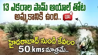 13 Acres Farm Land For Sale 50kms From Hyderabad #landforsale