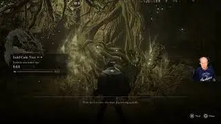 Don't forget to use boosters on the Gold Coin Tree