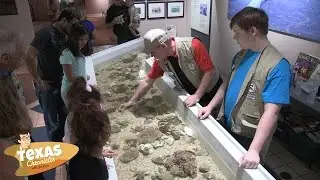 Texas Chronicles: Discover Sea Center Texas!