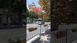Крым сегодня : 17 июля 2025 г., Симферополь ❣️ #shorts