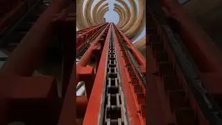 WHALE BONE coaster! POV #shorts