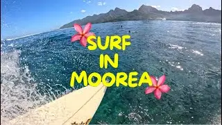 SURF IN HAAPITI - SURF POV