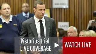 LIVE: Oscar Pistorius trial, day 1 continued (completed)