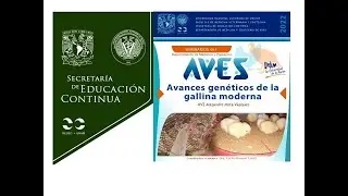 Avances genéticos de la gallina moderna