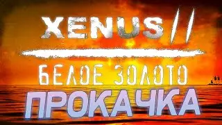 Прокачка Xenus 2 Белое Золото