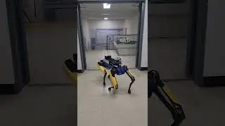 스팟 댄스영상 #shorts  #보스턴다이내믹스 #bostondynamics #댄스 #로봇 #4족보행  #robot #automobile #gaming #로봇개