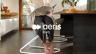 Aeris Oyo Ergonomic Conference and Visitor Chair