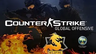 CS:GO | Operation Wildfire Explained | x4 *NEW Cases