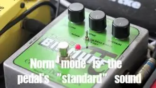 ELECTRO HARMONIX BASS BIG MUFF PI DEMO