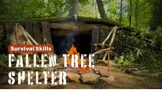 Fallen Tree Shelter