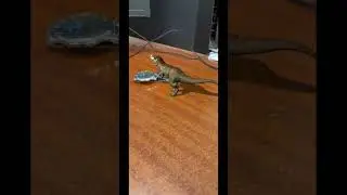 Dinosaur in office #dinosaur #jurassicworld #jurassicpark #animals #today #video #ytshorts