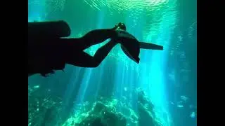 Eden Dive 2