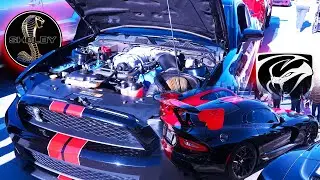 DODGE VIPER VS SHELBY GT500‼️ WHICH ONE WOULD YOU TAKE? #gt500 #viper #dodge #shelby