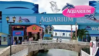 Mi Full Tour del Interactive Aquarium Canc&uacute;n en Canc&uacute;n, Quintana Roo