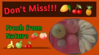 Seasonal Fruits | Healthy Eating for Every Season 🍎🍉🍊