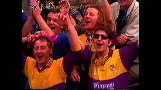 1997 Leinster Hurling Semi Final Wexford v Offaly