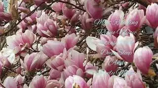 Most Relaxing Piano Music | Stress Relief | Deep Sleep | Study Music