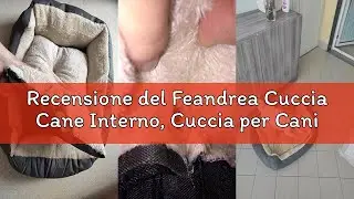 Recensione del Feandrea Cuccia Cane Interno, Cuccia per Cani e Animale Domestico, Tappeto Rimovibile