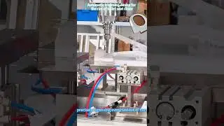 Toilet Seat Automatic Deburring - Advanced Automatic Assembly Equipment#automaticassemblyequipment