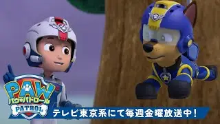 パウ・パトロール | 空のレスキュー！🕊 | テレビ東京系にて放送中