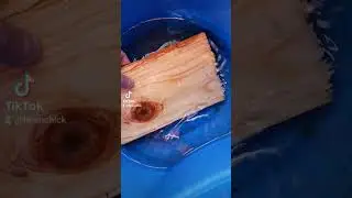 cedar planked trout on the weber kettle.