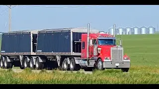 Truck Spotting - Hwy 7 | Kenworth W900 |  Freightliner Classic | Peterbilt 389